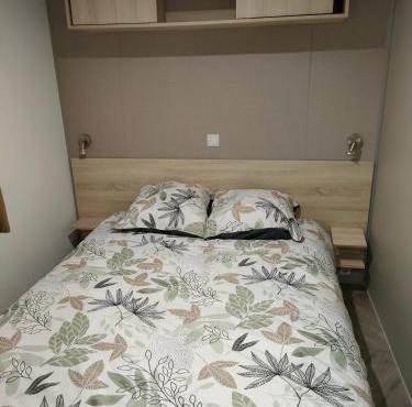 Mobil home 8 pers dans Camping Siblu Les Rives de Condrieu