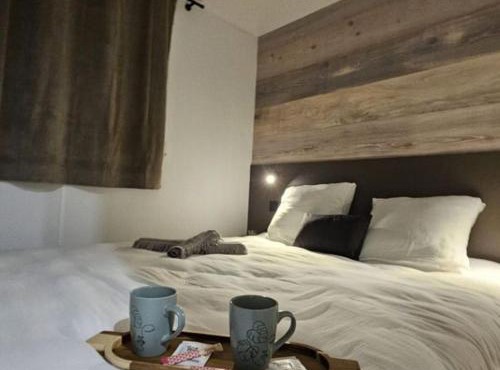 Mobil-home cosy pour 2 à Pamiers - API-1-52-1959