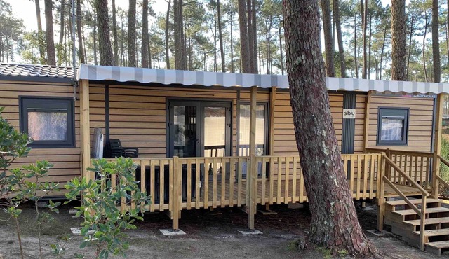 Mobil Home de Luxe A L'ombre des Pins 40