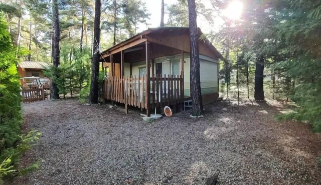 Mobil-home Vintage 2 bedrooms 4 persons