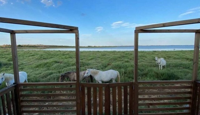 Mobile home sleeps 6