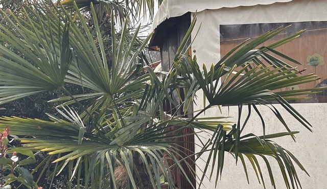 Mobile home between Mimizan and Biscarosse