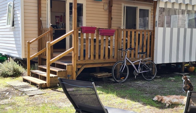 Mobile home in the Landes, view of the forest