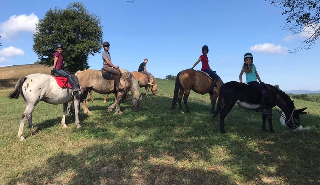 Mobile Home au Ranch du Bonheur, Évasion à la Ferme