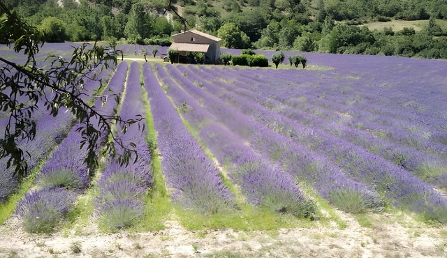 Mobile Home 'Camping Sainte-Jalle' with Mountain View, Shared Pool and Wi-Fi