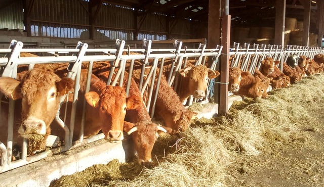 Mobile home chalet in the SAINT-LO countryside