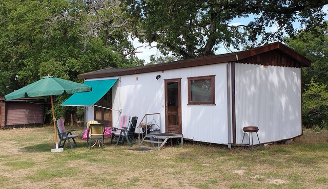 Mobile Home, for 2 adults and 3 children, surrounded by meadows with animals