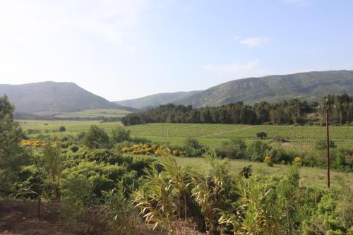 Mobile home pour un sejour unique en pleine nature au milieu des Corbieres