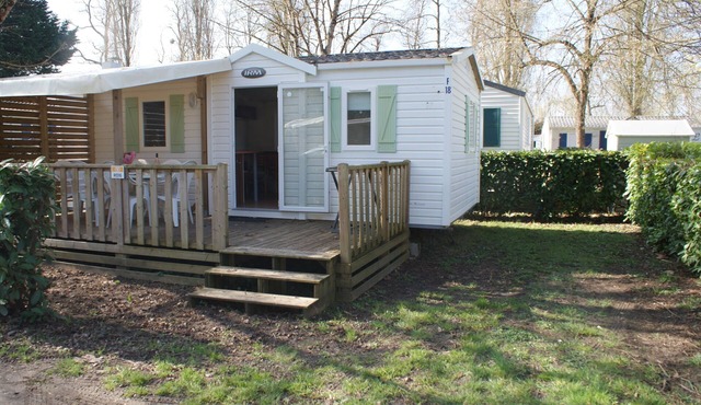 Mobile home in a wooded campsite 40 minutes from Futuroscope and 1 hour from Beauval zoo