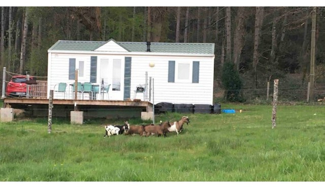 Mobile home in ANIMAL PARK in Aveyron