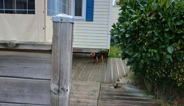 MOBILE HOME RENTAL IN CAMPSITE 4****