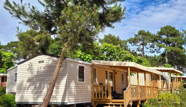 MOBILHOME On Cap Ferret in the pine forests, in a 4-star campsite.