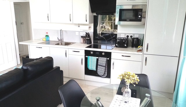 Modern 1 Bedroom Apartment