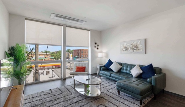 Modern 1 King City Escape