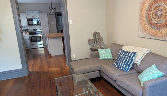 Modern 1BR Apt Near Hospitals & Tower Grove—Perfect for Med Stays