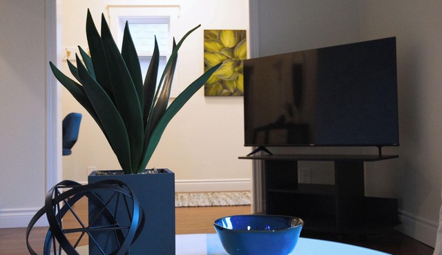 Modern 1BR in Wortley Village+ Wi-Fi +Washer&Dryern