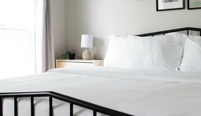 Modern 1BR Retreat | Pets + City Access