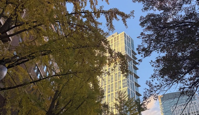 Modern 1BR steps to Mass General Hospital, TD Garden, Esplanade with Pool/Gym