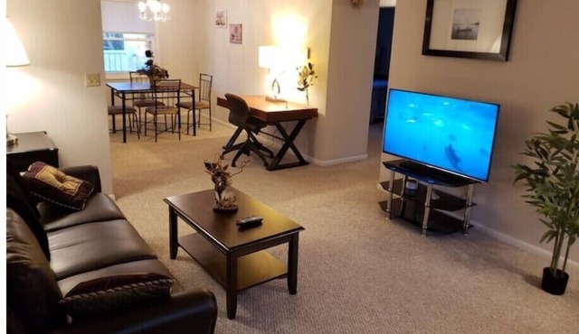 Modern 2 Bedroom Condo With Park Views