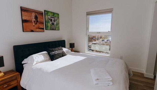 Modern 2BR Apt Steps from Osborne Village