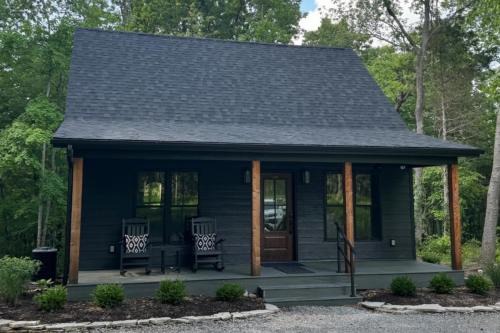 Modern 2BR Cabin w Hot Tub Near Carbondale
