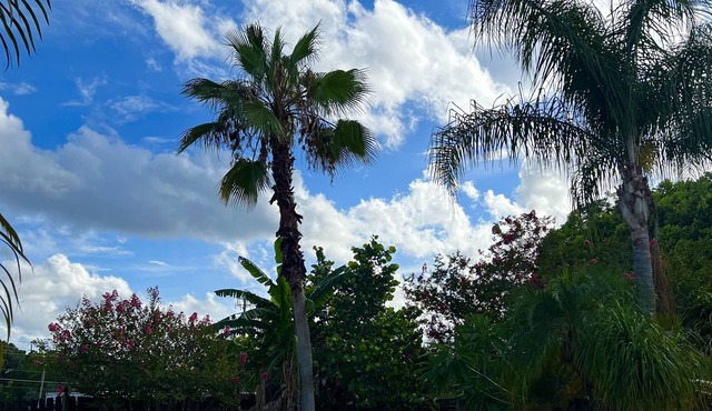 Modern 3-Bedroom Oasis w/ a pool!