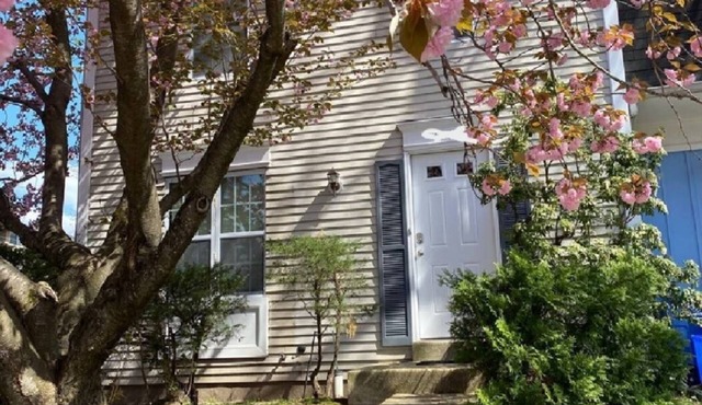 Modern 3-Bedroom Townhouse Silver Spring Suburbs