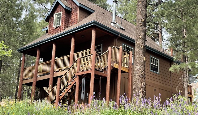 Modern 3B/2BA Cabin, gameroom, Weber grill, EV Chargers & decks/patios