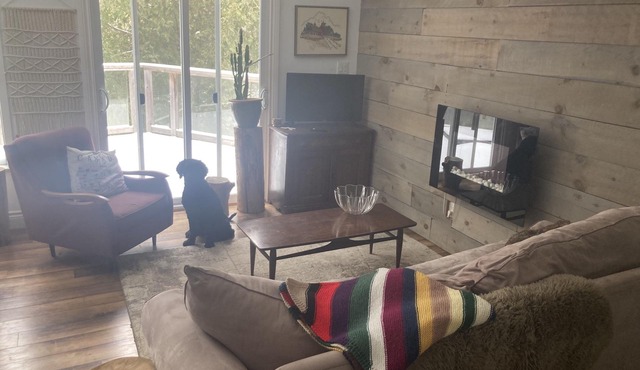 Modern 4-bd Cottage on River w/ Outdoor Living!