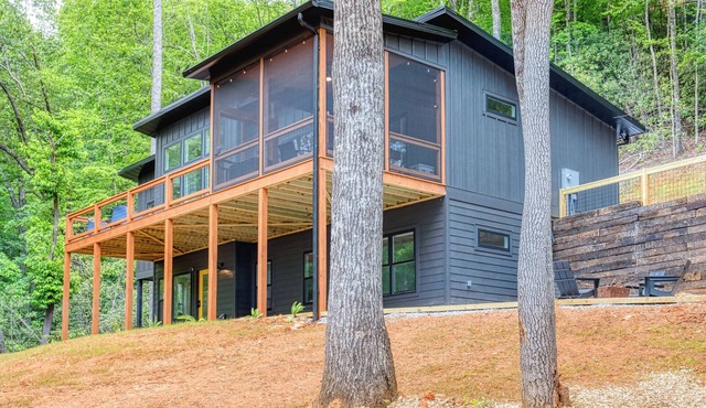 Modern 4 bedrm/3 bath house in Blue Ridge mountains with hot tub/outdoor shower