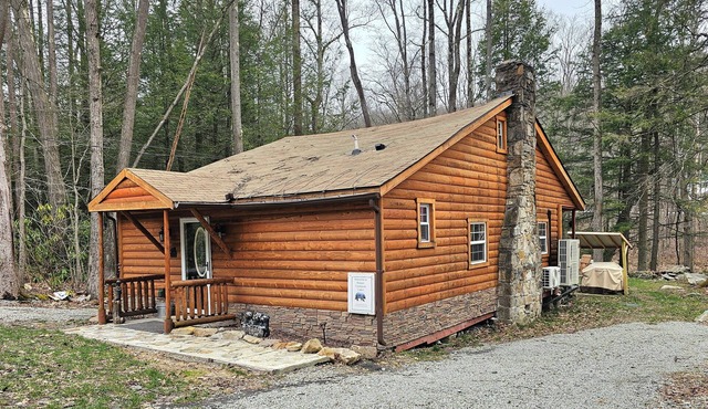 Modern 4-bedroom Log Cabin in Somerset