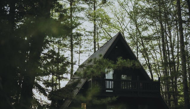 Modern A Frame cabin - on beautiful Fawn Lake!