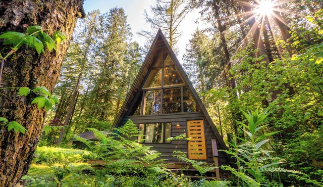 Modern A-Frame - Hot Tub - Forest Escape