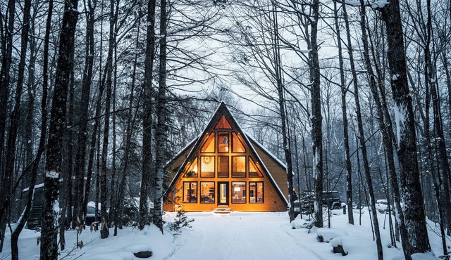 Modern A-Frame Retreat -Sauna, Hot Tub, Haliburton