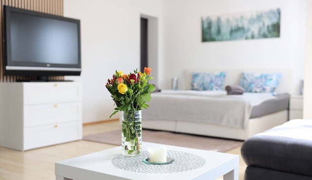 Modern Accommodation in Leutkirch with Mountain View, Wi-Fi & Balcony in Leutkirch