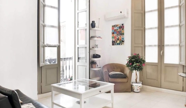 MODERN AND BRIGH APARTMENT MALAGA DOWNTOWN