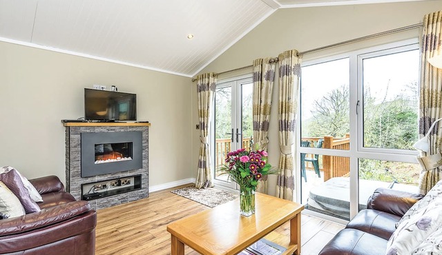 Modern and contemporary 14ft-wide lodge style holiday home.