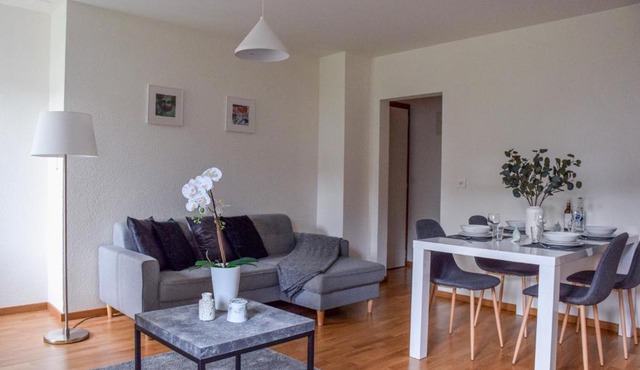 Modern and contemporary design apartment