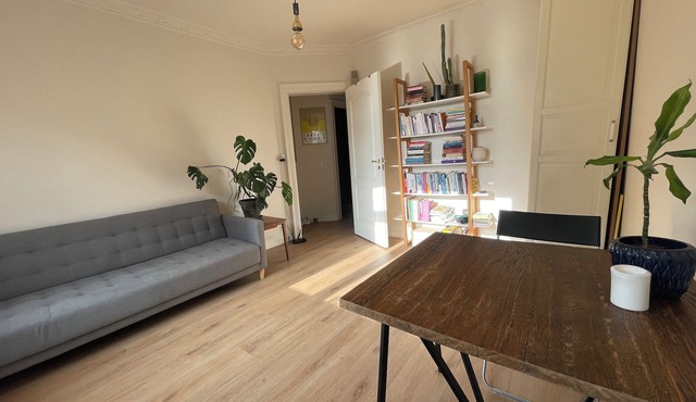 Modern and newly renovated apartment