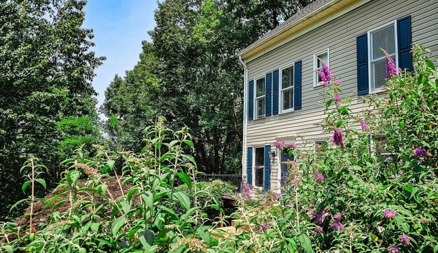 Modern and Renovated Home - 3 Bedroom, 5 Beds, 2.5 Bath