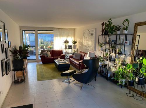 Modern and stylish Home in Muttenz