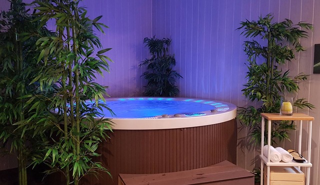 Modern apartment in Saint Dyé sur Loire near Chambord comfort + bikes