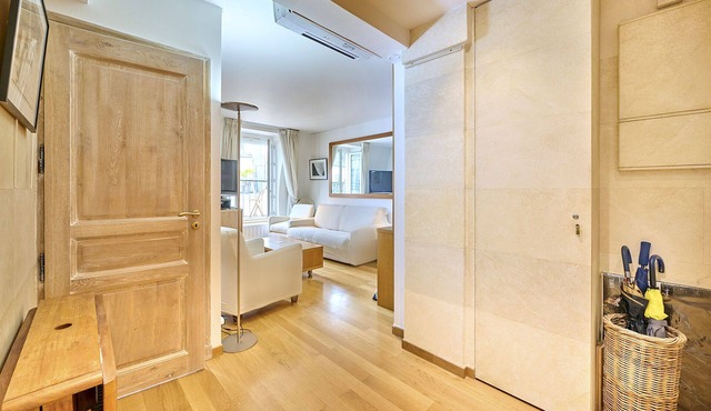 Modern apartment - AC in entire apartment - Tuileries Gardens - Louvre museum