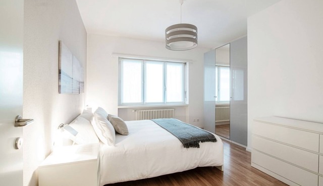 Modern Apartment close to Lido di Lugano (LIDO 1)