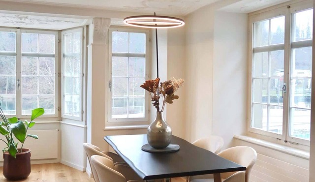 Modern Apartment in Schaffhausen Center