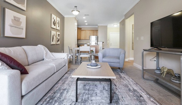 Modern Apartment in Prime Location (ID8533X30)