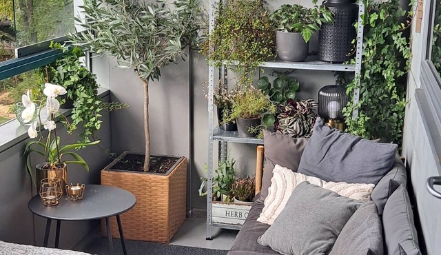 Modern Apartment With Sunny Balcony in Copenhagen