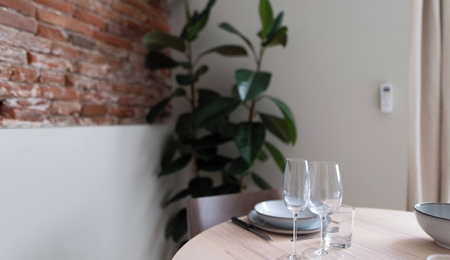Modern apartment with authentic Toulouse character