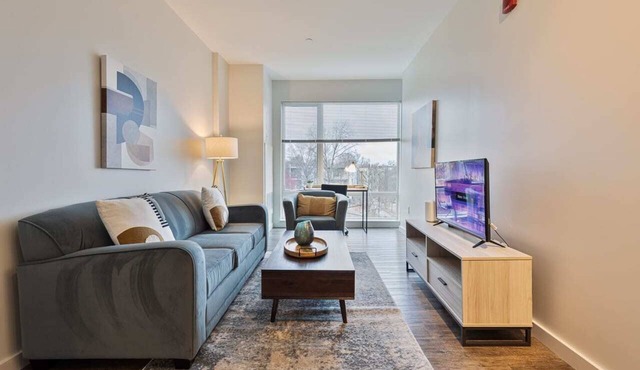 Modern Apt Near Charles River