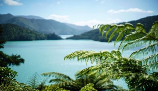 Modern bach in Kenepuru Sound